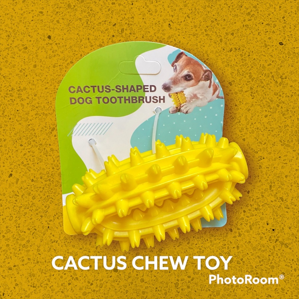 Dog Cactus Tootbbrush 360